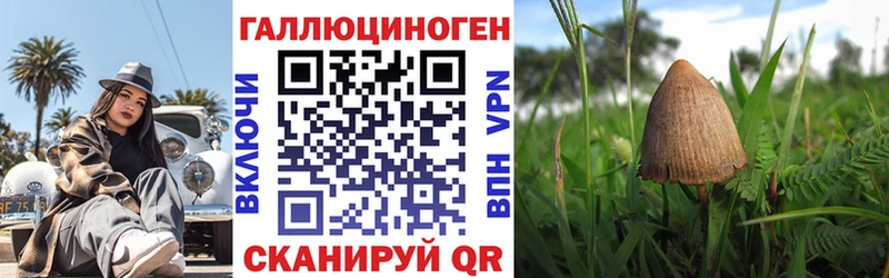 Купить  Печоры  Псилоцибиновые грибы MAGIC MUSHROOMS 